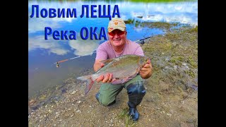 Ловля ЛЕЩА (река ОКА московская область)