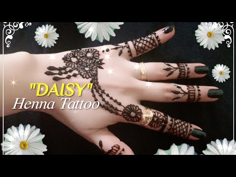 -daisy-flower--best-and-simple-h