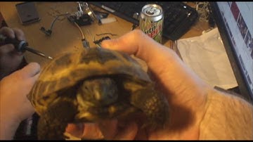 Hackerbox #0008 Soldering Project  - Digital Clock