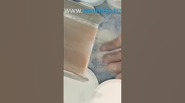 Laboratory homogenizer, how to choose the right one Minipress.ru