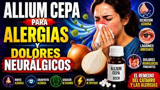 Allium Cepa para alergias y dolores neurálgicos