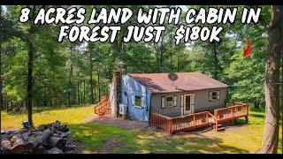 Forest Cabin for $180K on 8 Acres | Affordable Mountain Retreat