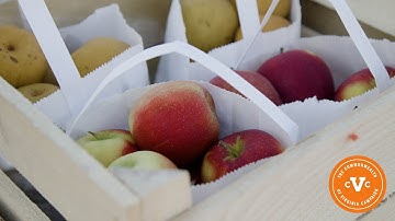 Making an Impact Through CVC: Local Food Hub