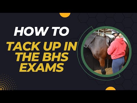 How To Tack Up in the BHS Exam.