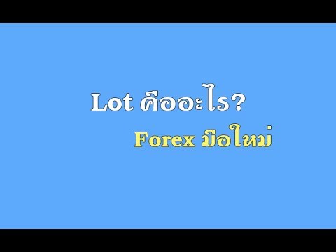 Lot คืออะไร?