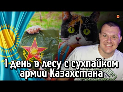 Реакция на | Один день в лесу с сухпайком армии Казахстана | KASHTANOV