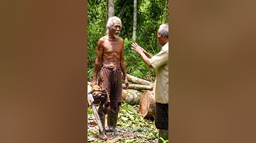Hidden Valley, Hidden Giant Tree, One Powerful Cut #lumberjack#treecutting#woodworking#chainsaw