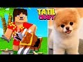 YENİ KÖPEĞİM #6 TATİLCRAFT - Minecraft