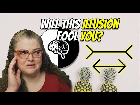 Müller-Lyer Illusion: Is your perception based on experience?