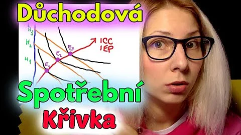 Co je poptávka individuální?