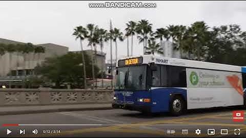 I interrupting boris anderson for interrupting my video