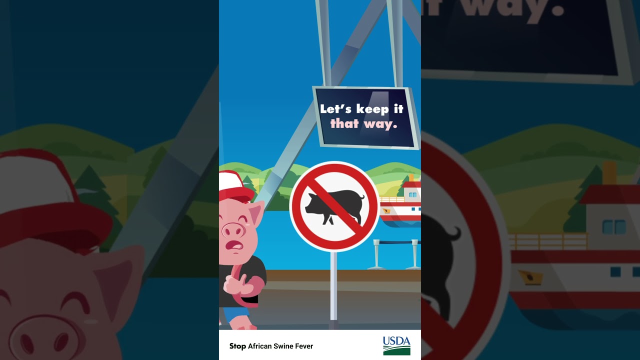 Stop African Swine Fever
