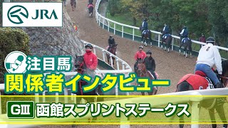 【注目馬 関係者インタビュー】2024年 函館スプリントステークス｜JRA公式