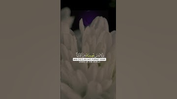 #القرآن_الكريم #القرآن #سورة_القصص #تلاوة_خاشعة #fypyoutube #fypforyou #fypage #fyp