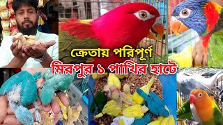 ক্রেতায় ক্রেতায় পরিপূর্ণ মিরপুর ১ পাখি হাট | Pakhir haat mirpur 1 | Birds market mirpur