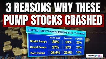 From Multibaggers To 2025 Fall: Is It Time to Buy These Pump Stocks Now? | NDTV Profit
