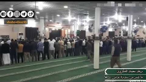 تلاوة خاشعة من سورة يونس للقارئ رعد محمد الكردي