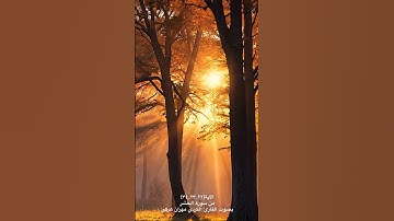 الآیة (٢٢_٢٣_٢٤) من سورة الحشر بصوت القارئ الكردي مهران هركي