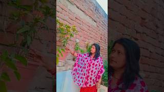 #trneding .... #song  #youtubeshorts  #love  #🥀🌹🌹🌹🥀🌹🌹