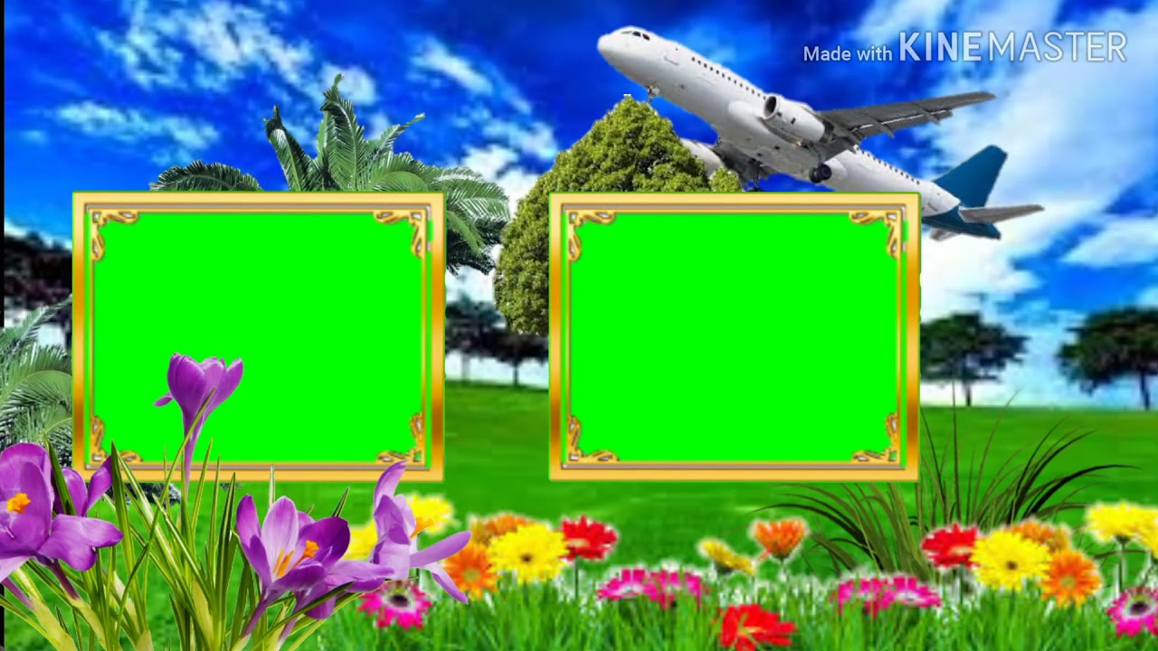 wedding green screen effect 4k wedding green screen effect 4k