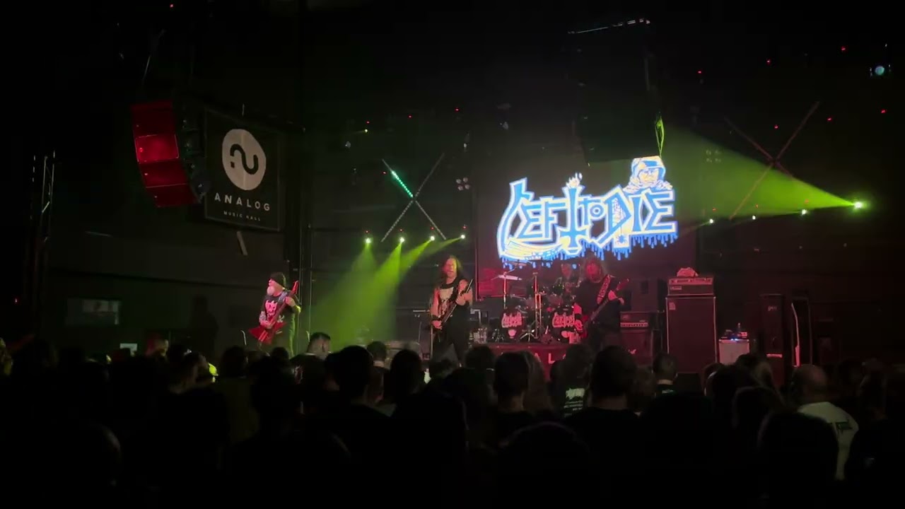 Left To Die - Torn To Pieces - Live at Analog/Budapest 2024.08.05. [4K30FPS]