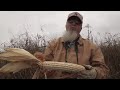 Corn Picking at Homestead on Green River