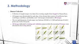 A Lightweight Convolutional Neural Network for Rice Diseases Classification