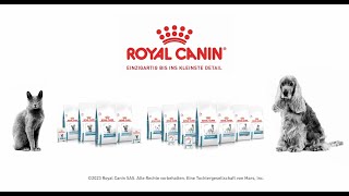 ROYAL CANIN® DERMATOLOGY – Unsere Produkte für alle Felle