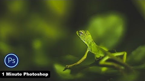 1 Minute Photoshop - Macro Photography For Camera RAW Filter