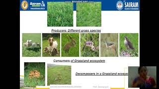 Lecture Video_18CIV59_Module 1_Desert, Wetlands, Riverine, Oceanic (5)_ Ayiswarya G