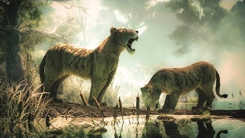 REALTIME RENDERED ANIMATION WITH UNITY3D