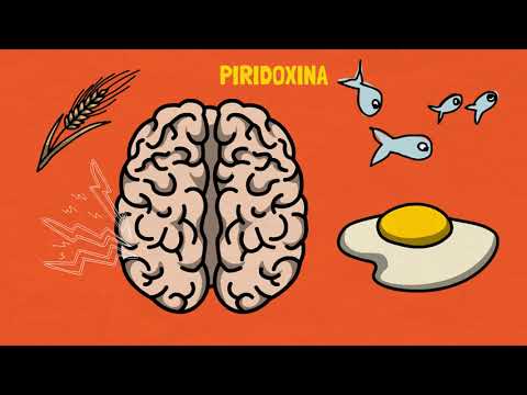 PIRIDOXINA - VITAMINA B6 | PARA QUÉ SIRVE?