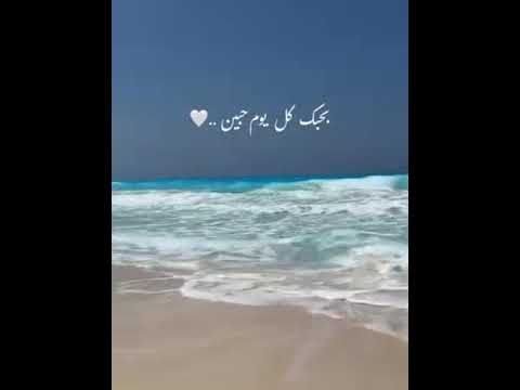 بحبك كل يوم حبين أنغام