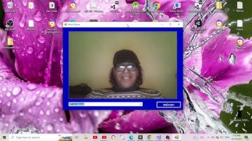 c# webcam.Direct.Show