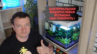 видео: Мутная вода в аквариуме 100% РЕШЕНИЕ ! ! ! картинка: Мутная вода в аквариуме 100% РЕШЕНИЕ ! ! !