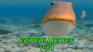 ECNEBI MEMES V34