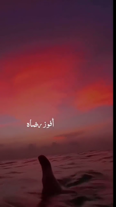 #shortvideo #islamicstatus#viral video #urda#beautiful #youtube@channel #jamilkhan