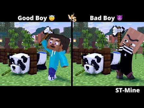 Good Boy VS