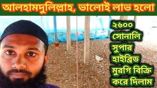 ২৬০০ সোনালি সুপার হাইব্রিড মুরগির মোট খাবার, ঔষধ খরচ ও লাভের হিসাব।