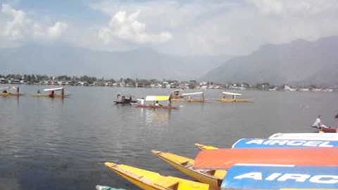 Shikara on Dal Lake at Chinar Ghat in Beautiful Srinagar - Kashmir Tourism & Travel Video