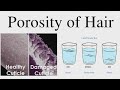 What is Hair Porosity by Jas Sir from Sam and Jas Hair & Make-up Academy Mumbai