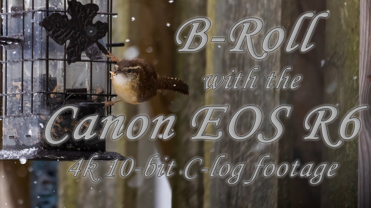 Canon EOS R6 Slow Motion Video | 4k 10-bit C-log footage