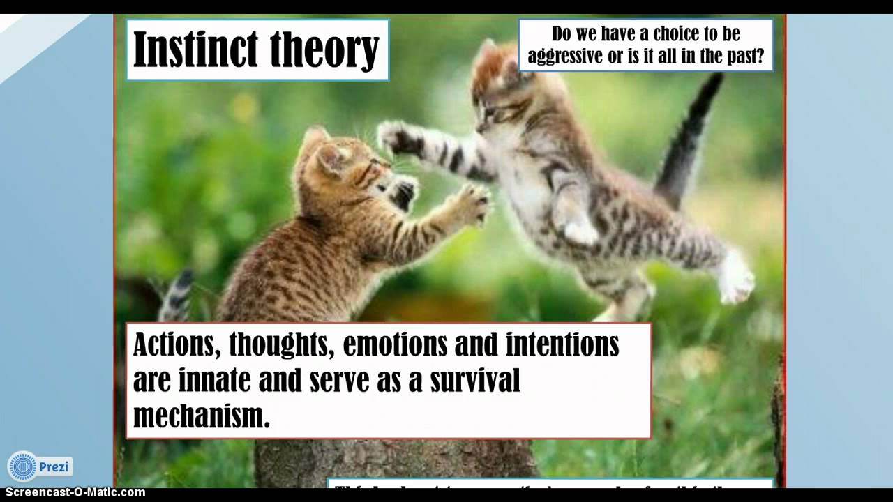 Image result for instinctive theory