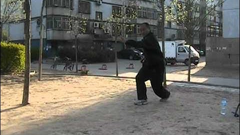 Shang Xing Yi Quan - Wu Xing: Beng, Pao & Heng (The last three)