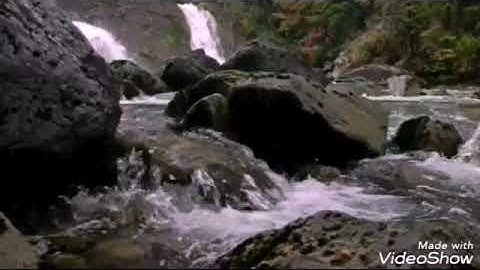 سورة الكوثر      الشيخ محمد المحيسني