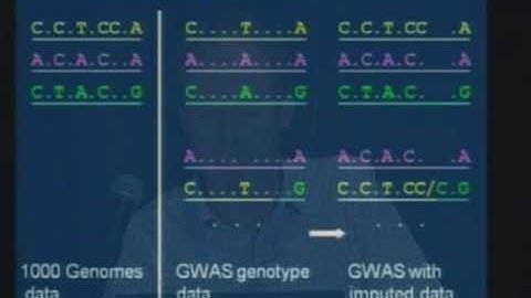 Introduction to 1000 Genomes Tutorial - Gil McVean