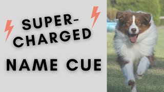 Teach Your Dog a Supercharged Name Cue by Summit Dog Training 592 views 4 years ago 6 minutes, 45 seconds