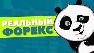 Реальная торговля на форекс. Реальный счёт форекс. Авто торговля на форекс +560$ за неделю.