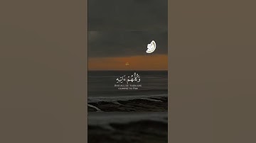 #سورة_مريم #القارئ_الشيخ_محمود_الوليد #تلاوة_خاشعة #قرآن