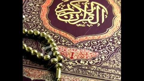 سورة القصص - مشارى راشد - جميلة جدا